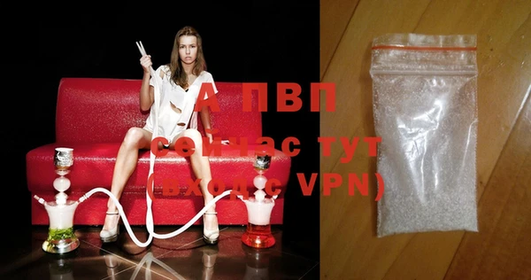 крисы Алексин