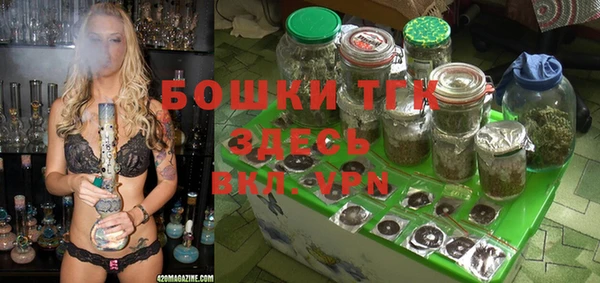 крисы Алексин