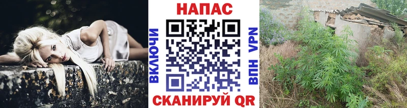 Шишки марихуана White Widow где можно купить нарко площадка состав Болгар